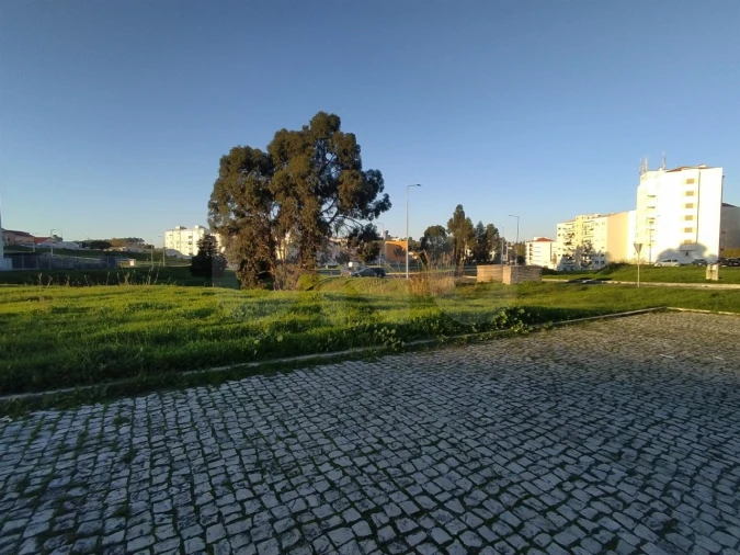 Terreno para Venda em Santa Maria, São Pedro e Matacães Foto 5