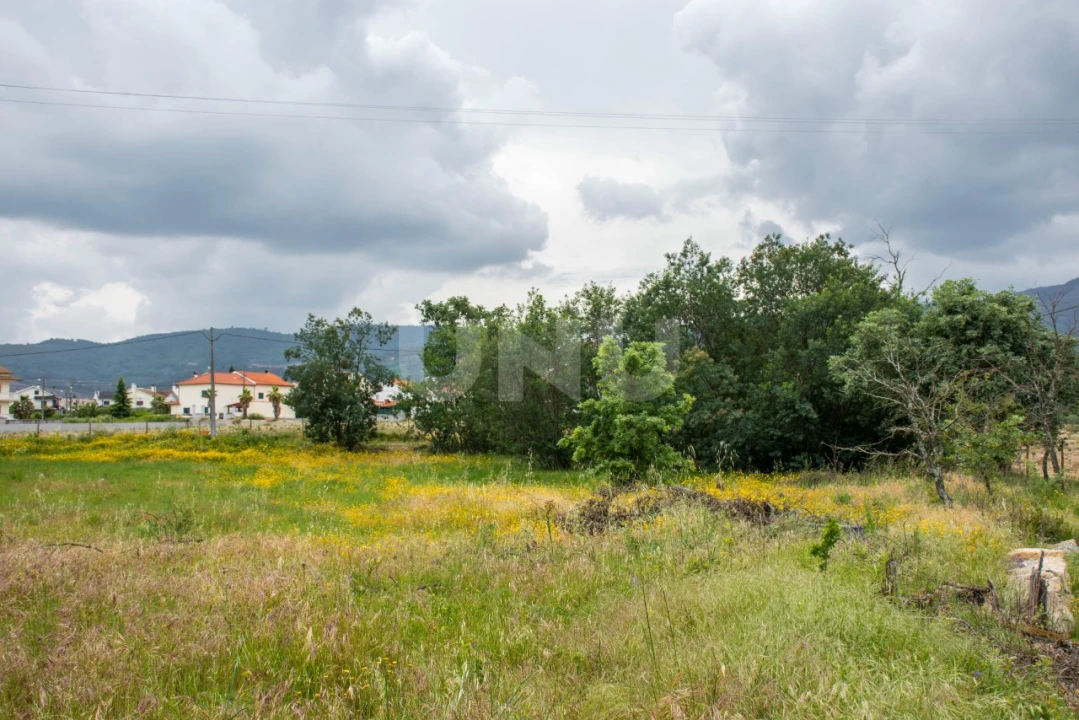Terreno para Venda em Fundão, Valverde, Donas, A. Joanes, A. Nova Cabo Foto 3
