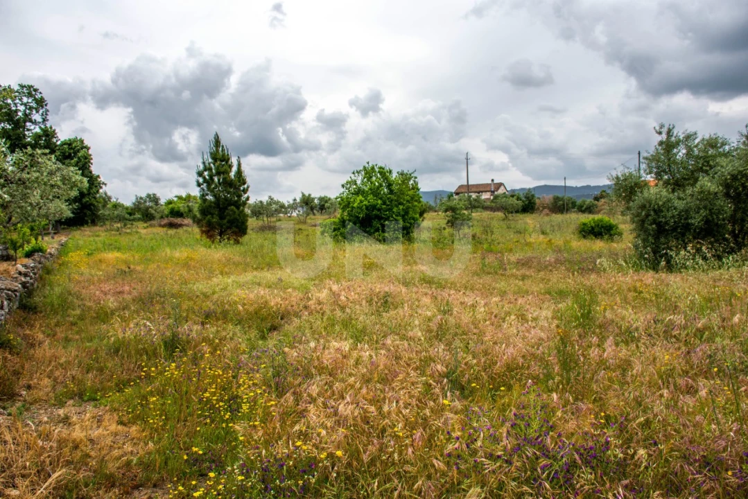 Terreno para Venda em Fundão, Valverde, Donas, A. Joanes, A. Nova Cabo Foto 6