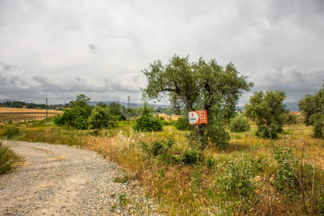 Terreno para Venda em Fundão, Valverde, Donas, A. Joanes, A. Nova Cabo Foto 9