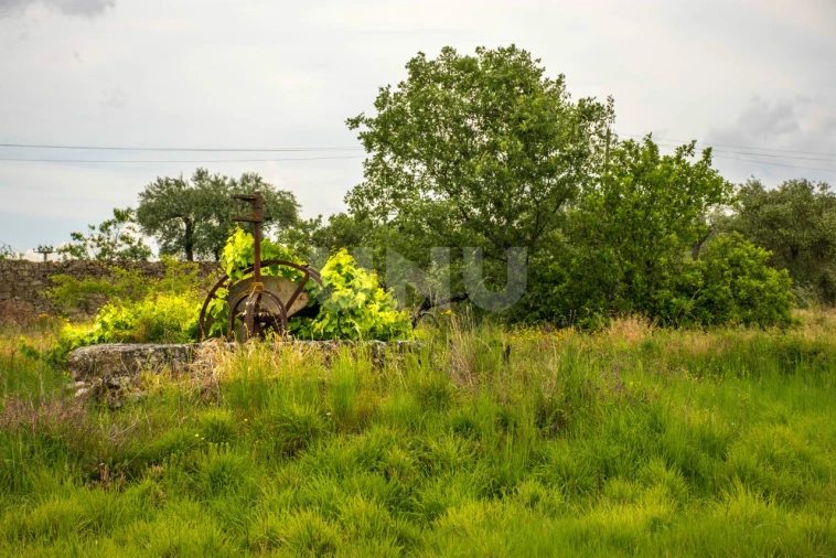 Terreno para Venda em Fundão, Valverde, Donas, A. Joanes, A. Nova Cabo Foto 8