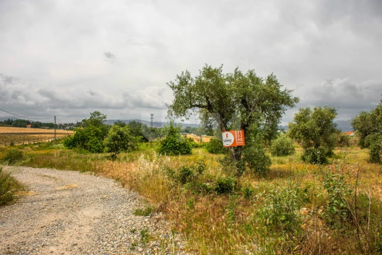 Terreno para Venda em Fundão, Valverde, Donas, A. Joanes, A. Nova Cabo Foto 9