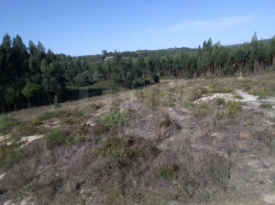Terreno para Venda em Ramalhal Foto 2