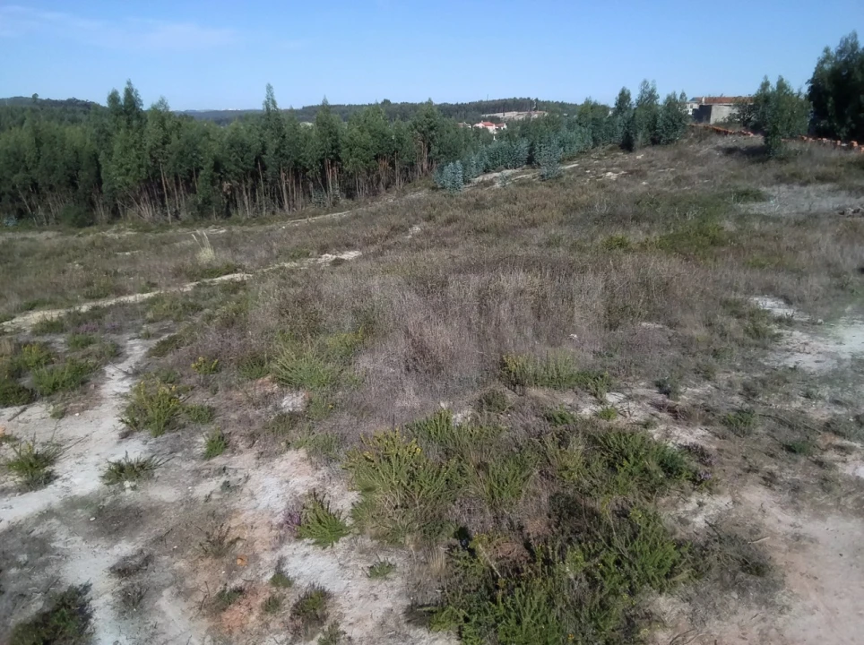 Terreno para Venda em Ramalhal Foto 5