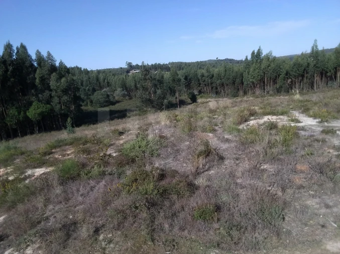 Terreno para Venda em Ramalhal Foto 2
