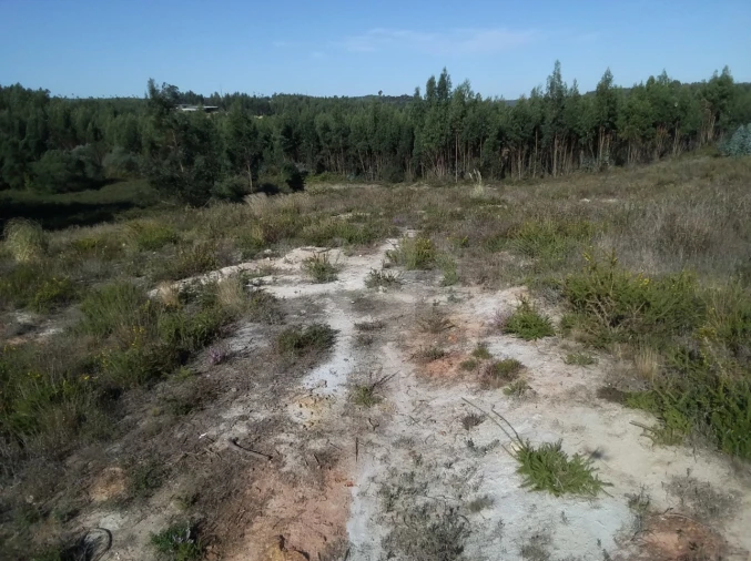 Terreno para Venda em Ramalhal Foto 4