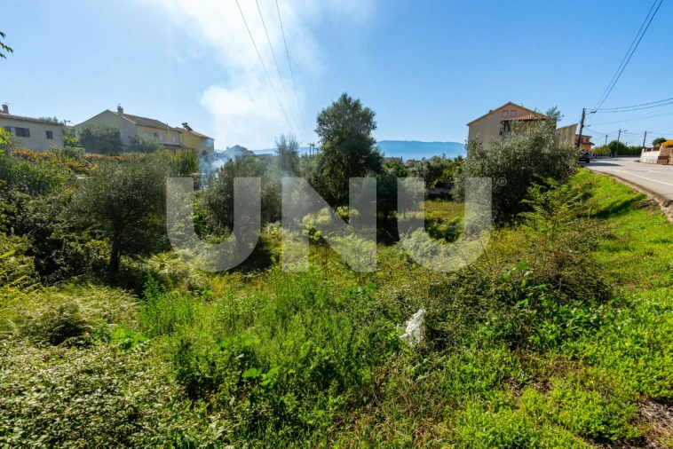 Terreno para Venda em Dominguizo Foto 2