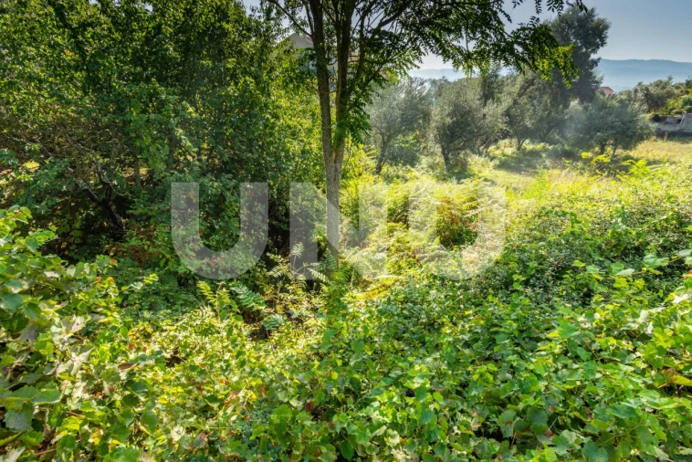 Terreno para Venda em Dominguizo Foto 3