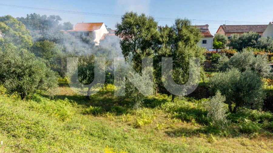Terreno para Venda em Dominguizo