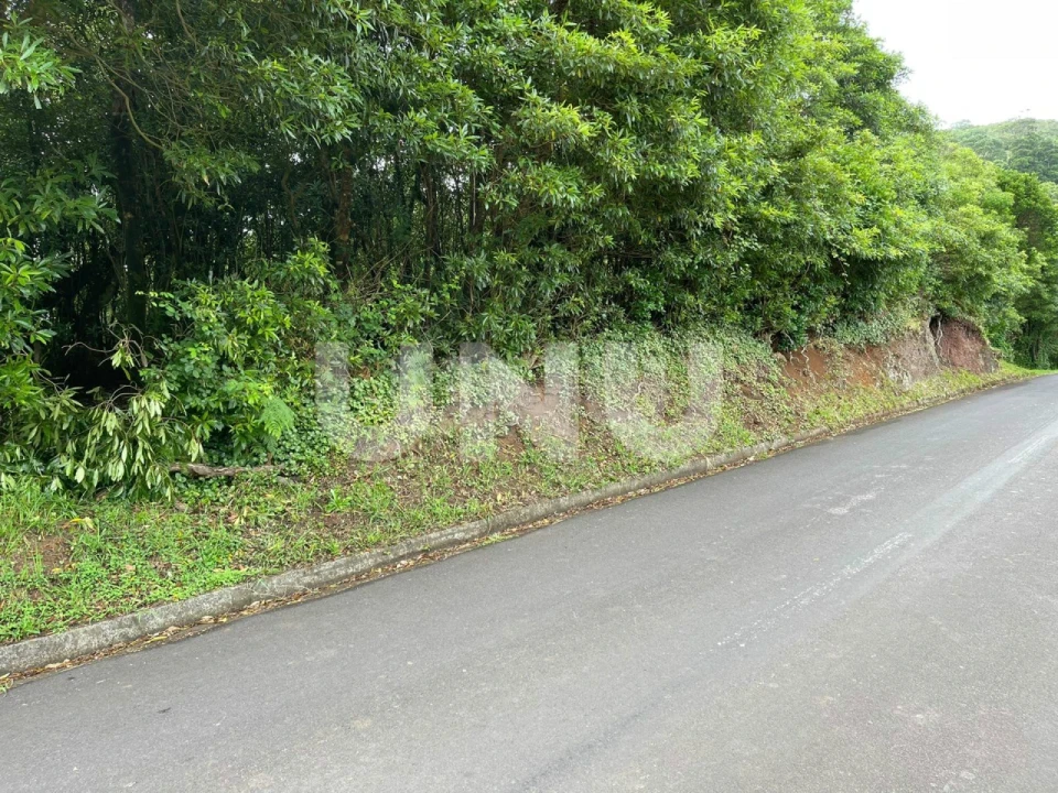 Terreno para Venda em Santo Espirito Foto 2