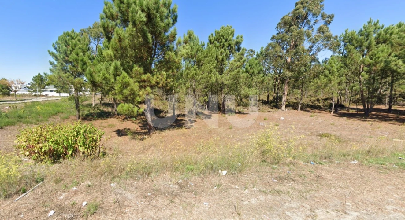 Terreno para Venda em Ovar, São João, Arada e São Vicente de Pereira Jusã Foto 1