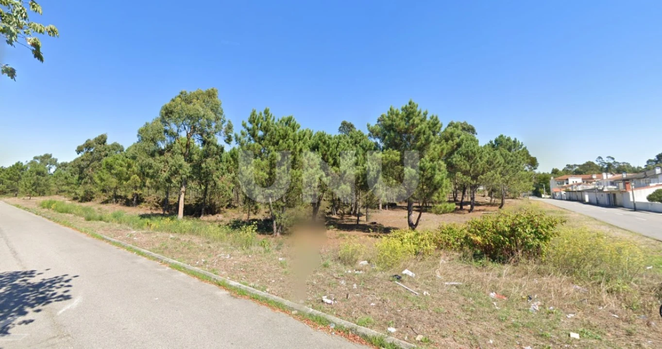 Terreno para Venda em Ovar, São João, Arada e São Vicente de Pereira Jusã Foto 3