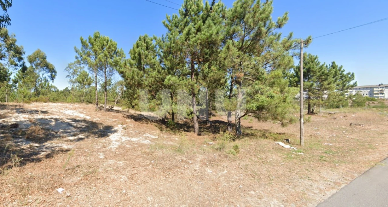 Terreno para Venda em Ovar, São João, Arada e São Vicente de Pereira Jusã Foto 4