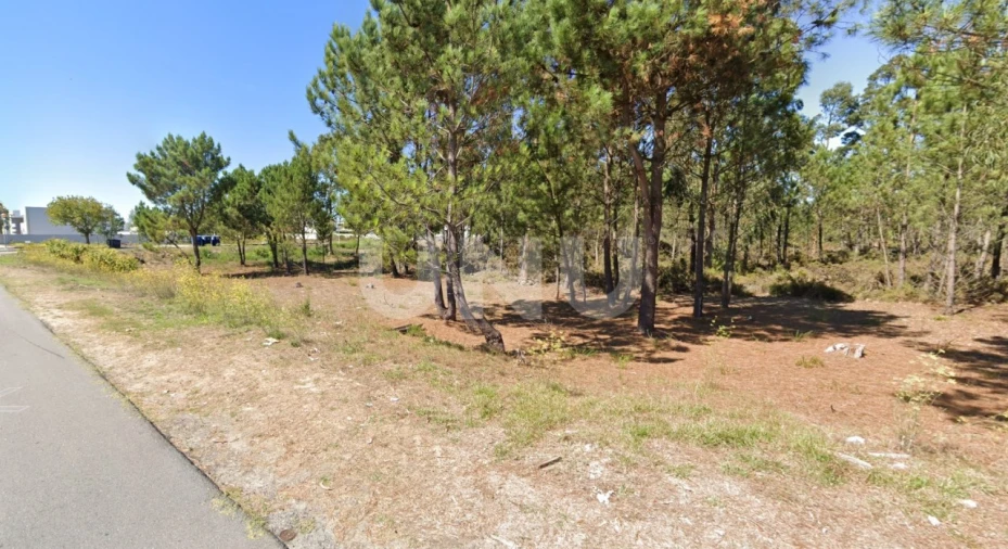 Terreno para Venda em Ovar, São João, Arada e São Vicente de Pereira Jusã Foto 2
