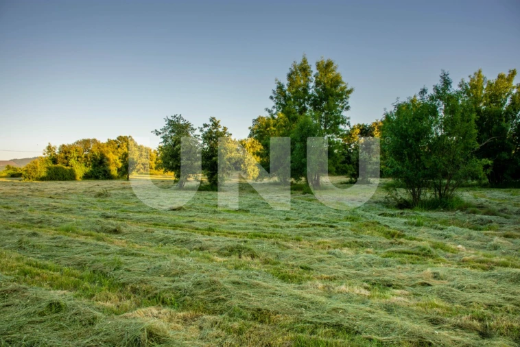 Terreno para Venda em Fundão, Valverde, Donas, A. Joanes, A. Nova Cabo Foto 2