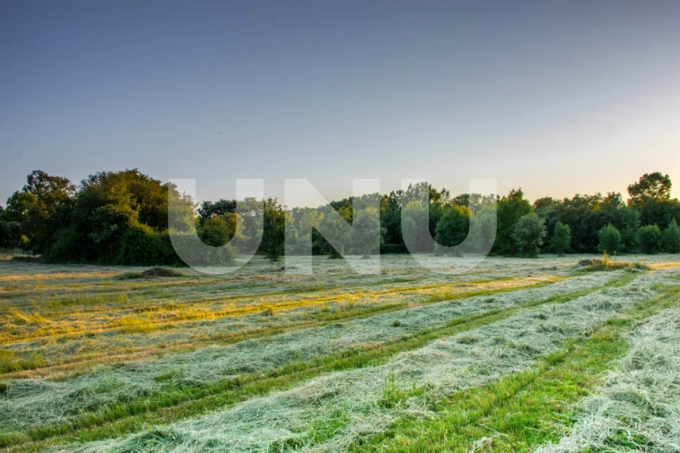 Terreno para Venda em Fundão, Valverde, Donas, A. Joanes, A. Nova Cabo Foto 4