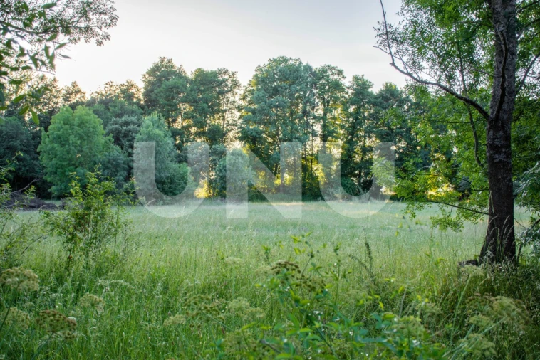 Terreno para Venda em Fundão, Valverde, Donas, A. Joanes, A. Nova Cabo Foto 5