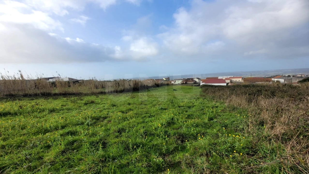 Terreno para Venda em Usseira Foto 8