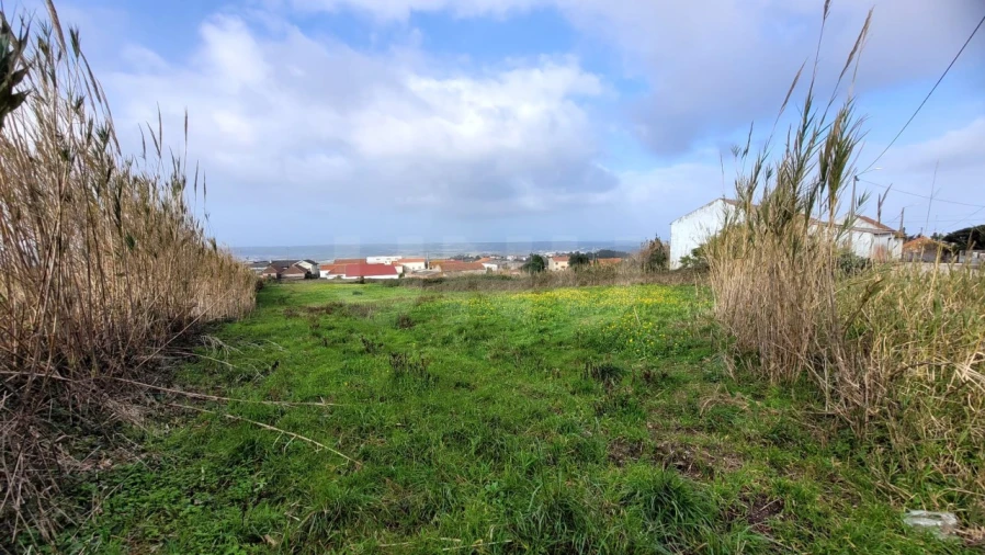 Terreno para Venda em Usseira Foto 4