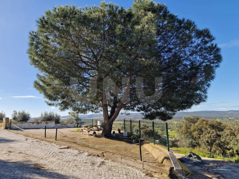 Terreno para Venda em São Gregório e Santa Justa Foto 13