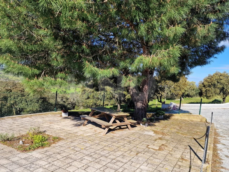Terreno para Venda em São Gregório e Santa Justa Foto 14