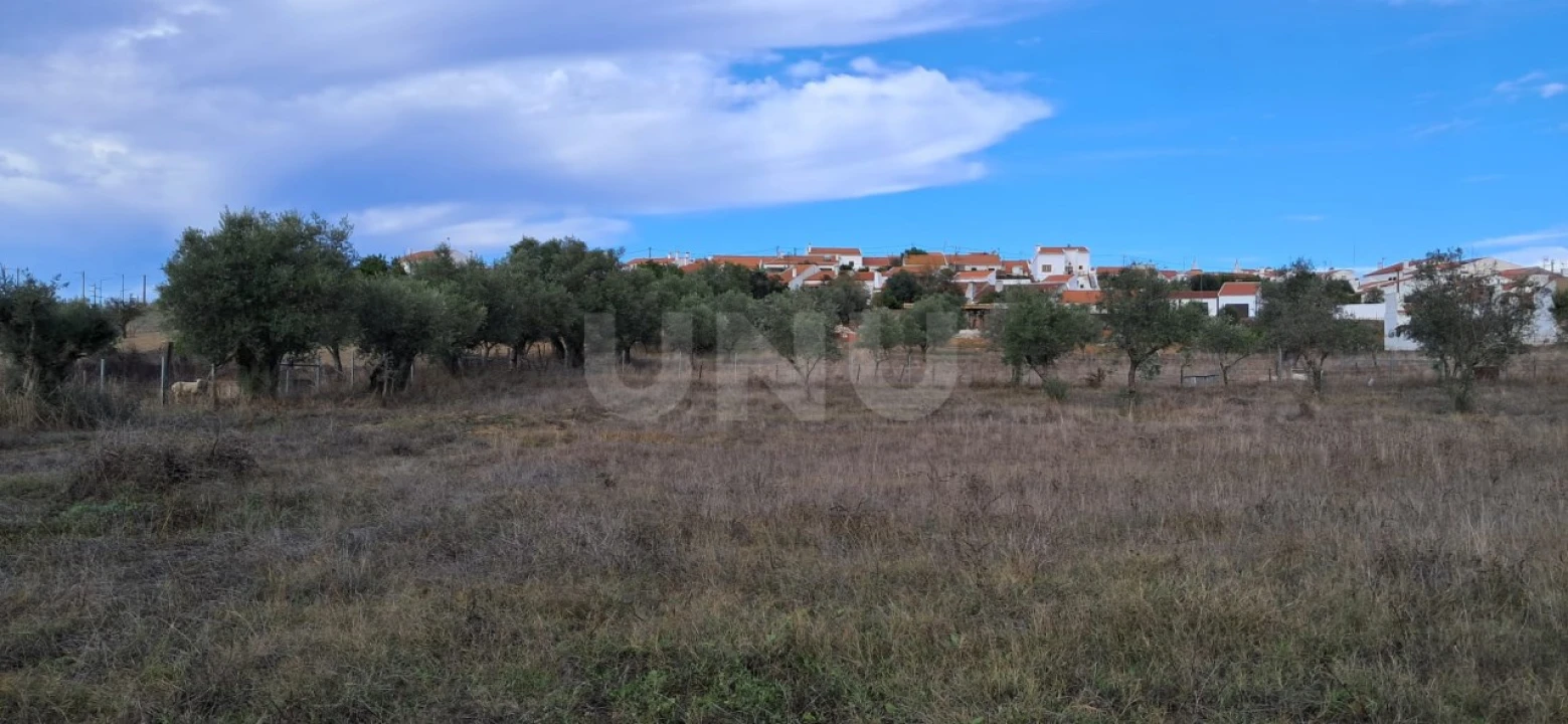Terreno para Venda em Vila Nova da Baronia Foto 14