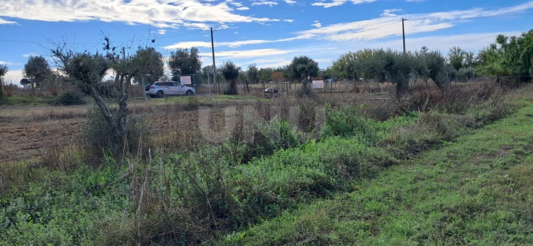 Terreno para Venda em Vila Nova da Baronia Foto 12