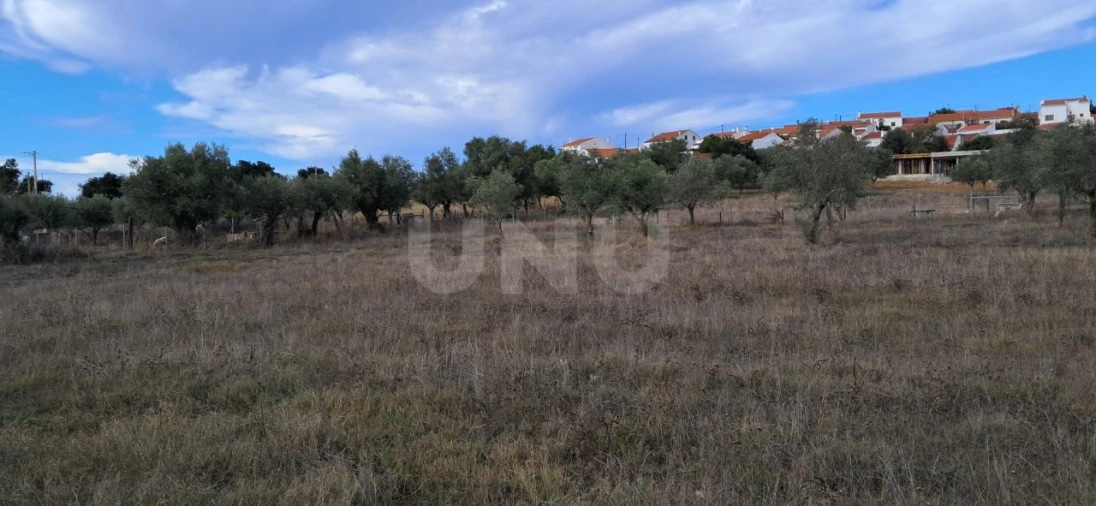 Terreno para Venda em Vila Nova da Baronia Foto 13