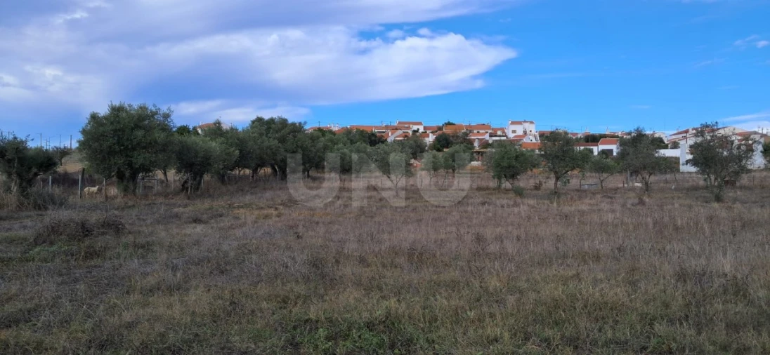 Terreno para Venda em Vila Nova da Baronia Foto 14