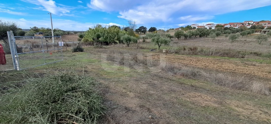 Terreno para Venda em Vila Nova da Baronia Foto 18