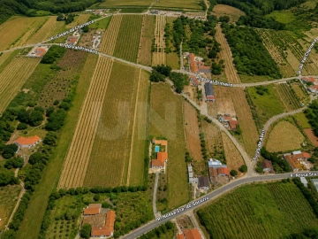 Terreno para Venda em Carvalhal