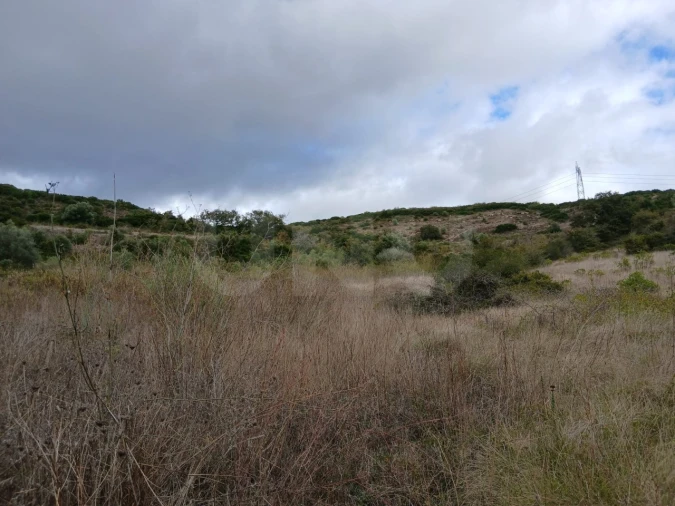 Terreno para Venda em Arranho Foto 10