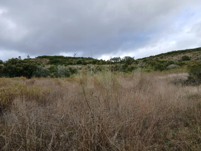 Terreno para Venda em Arranho Foto 11