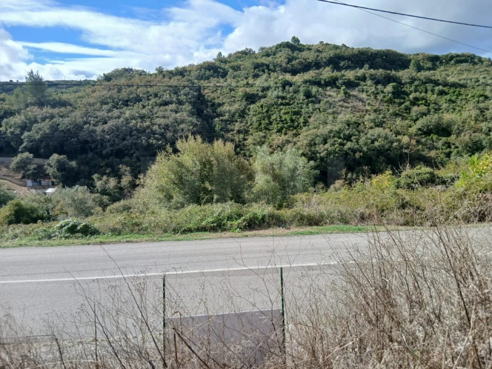 Terreno para Venda em Arranho Foto 10