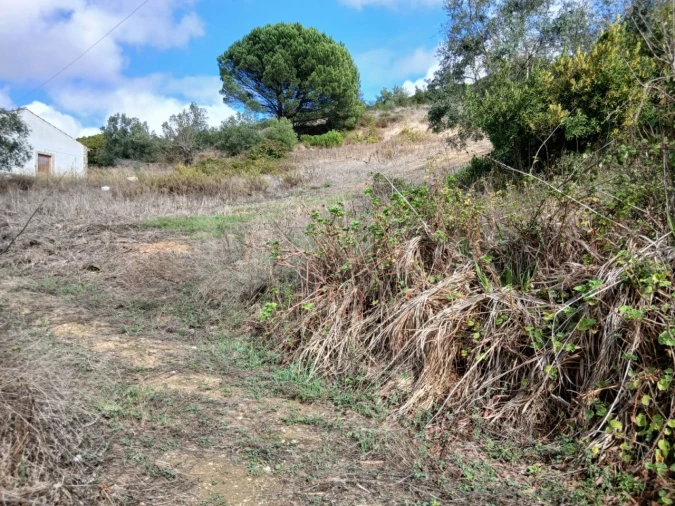 Terreno para Venda em Arranho Foto 11