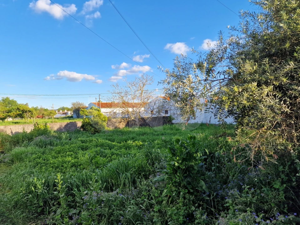 Terreno para Venda em Vila Nova da Baronia Foto 4