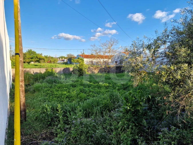 Terreno para Venda em Vila Nova da Baronia Foto 5