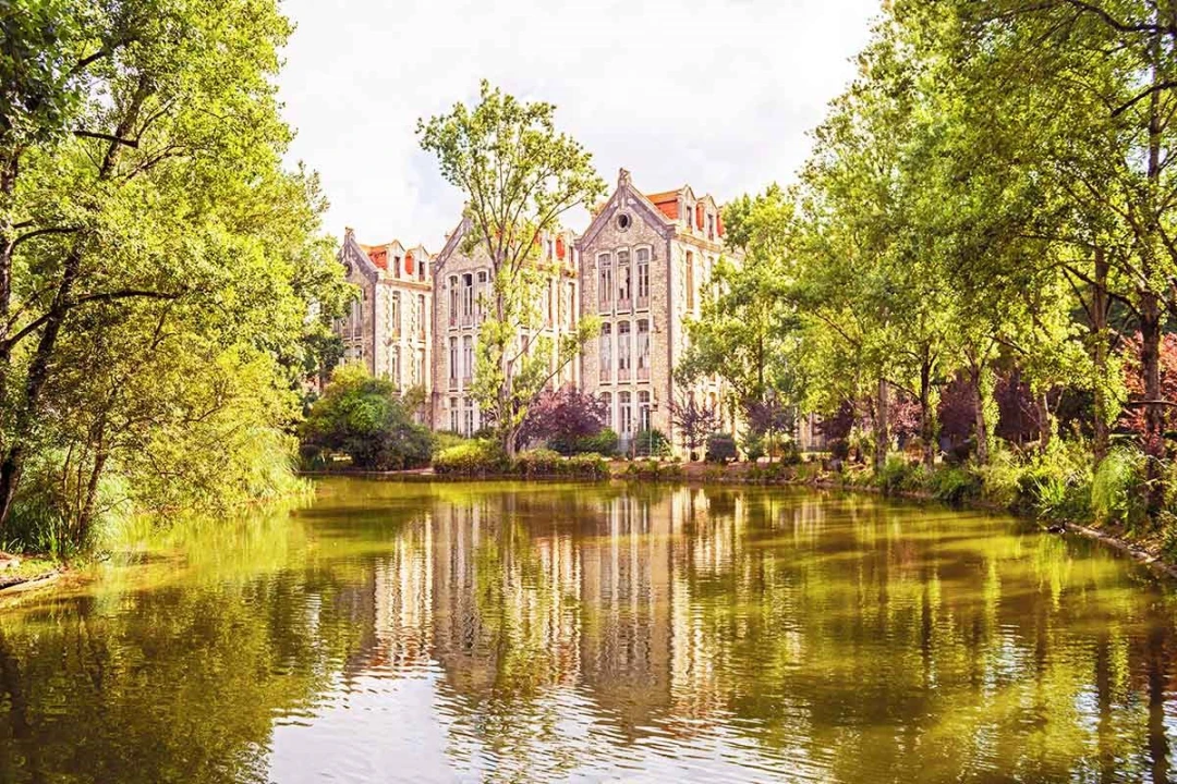 Terreno para Venda em Salir de Matos Foto 7