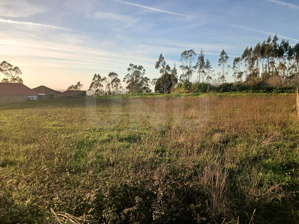 Terreno para Venda em Maxial e Monte Redondo Foto 13
