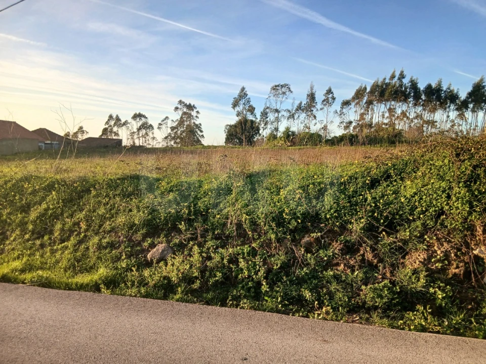 Terreno para Venda em Maxial e Monte Redondo Foto 14