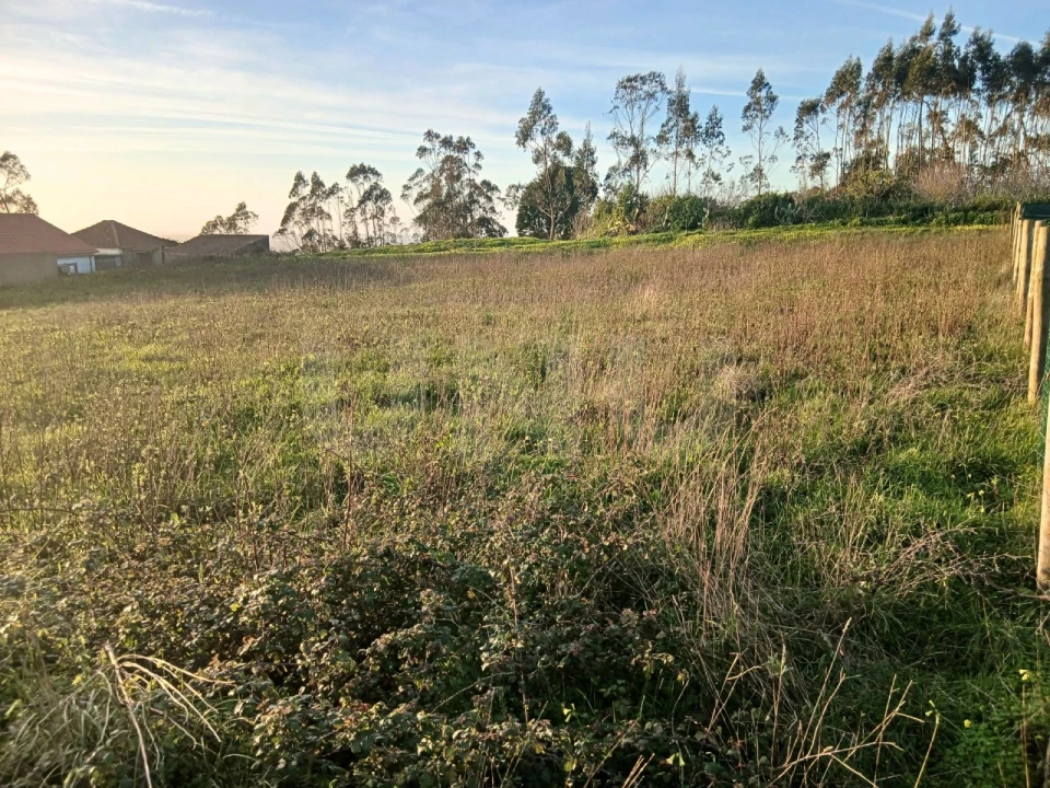 Terreno para Venda em Maxial e Monte Redondo Foto 15