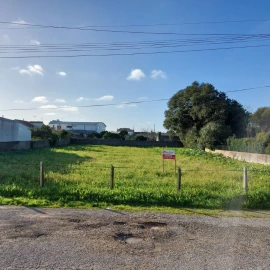 Terreno para Venda em Monte Real e Carvide