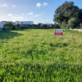 Terreno para Venda em Monte Real e Carvide