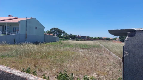 Terreno para Venda em Monte Real e Carvide
