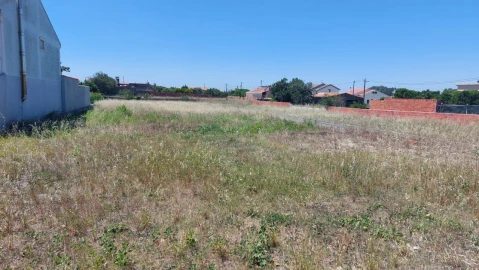 Terreno para Venda em Monte Real e Carvide