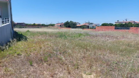 Terreno para Venda em Monte Real e Carvide