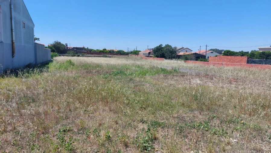 Terreno para Venda em Monte Real e Carvide Foto 4