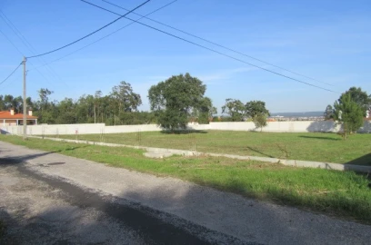 Terreno para Venda em Monte Real e Carvide