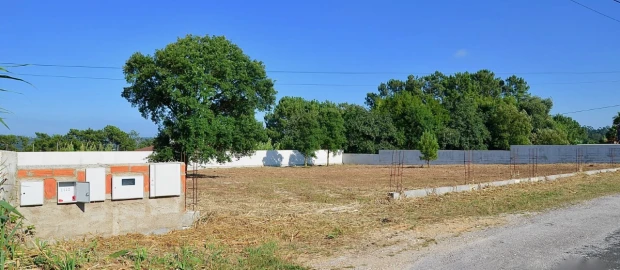 Terreno para Venda em Monte Real e Carvide