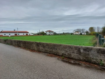 Terreno para Venda em Monte Real e Carvide